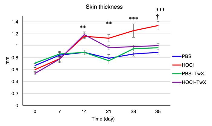 Twendee X®, a dietary antioxidant supplement, decreases skin fibrosis in systemic sclerosis (SSc) mice model.