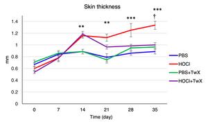 Twendee X®, a dietary antioxidant supplement, decreases skin fibrosis in systemic sclerosis (SSc) mice model.