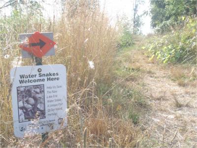 Lake Erie's Water Snake Sign