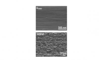 Cross-Section Scanning Electron Micrography Images