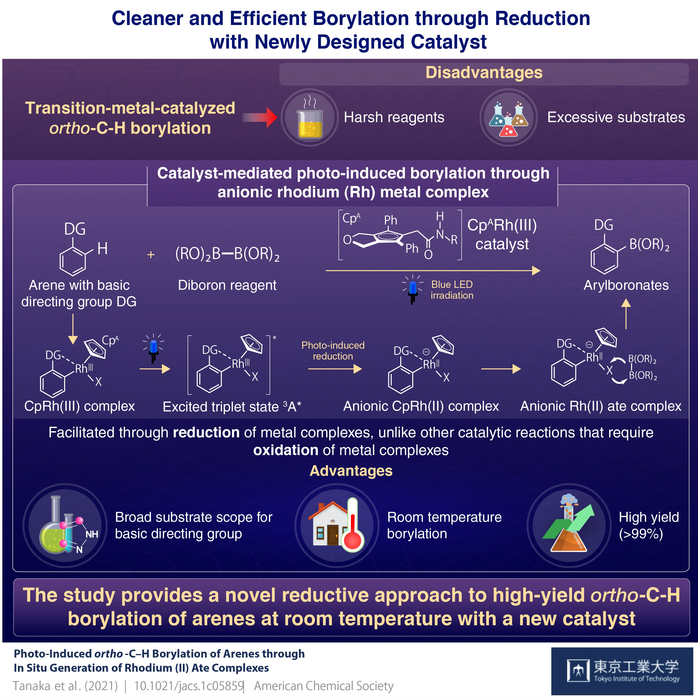 Cleaner and Efficient Borylation through Reduction with Newly Designed Catalyst