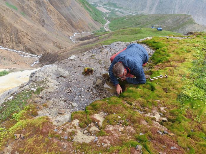 Collecting Sample from Spring along Cantwell Segment of Alaska's Denali Fault
