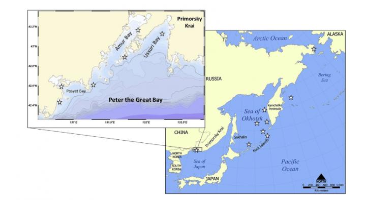 OCPs in the Marine Ecosystem