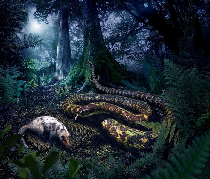 Reconstruction of the Ancestral Crown-Group Snake, Based on this Study