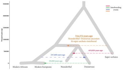 An Evolutionary Tree Including Four Proposed Episodes of Gene Flow