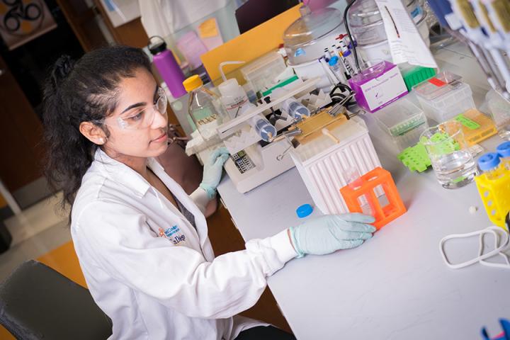 Microfluidic Device Sorts Tumor Cells Based on 'Stickiness' - 2