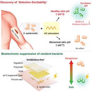 Graphical Abstract of Discovery of 'Selective Excitability'