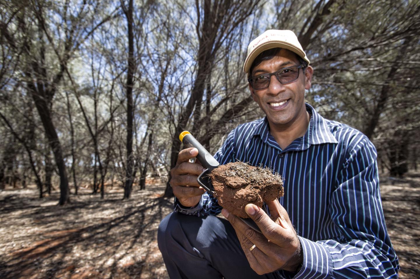 Sagadevan Mundree, Queensland University of Technology
