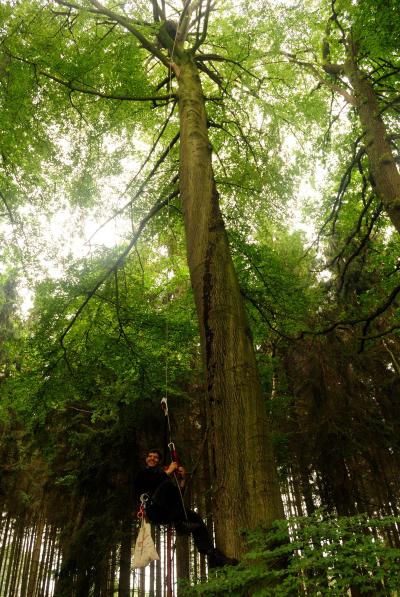 Nayden Chakarov, University of Bielefeld 