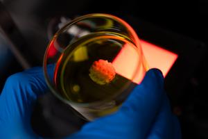 3D bioprinting is pushing the boundaries of human tissue engineering.