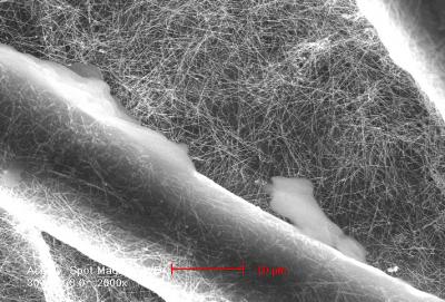 Nanowires on Cotton