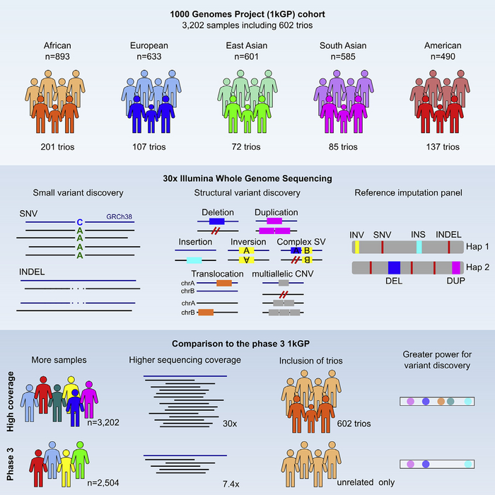High-coverage whole-genome sequencing of the expanded 1000 Genomes Project cohort including 602 trios- graphical abstract