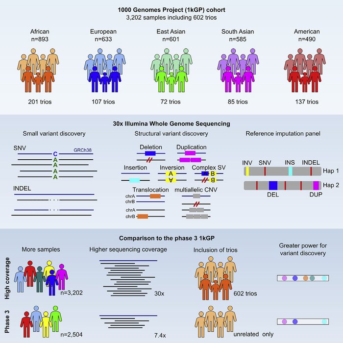 human genome project timeline