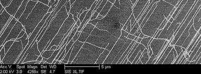 Carbon Nanotubes for VLSI