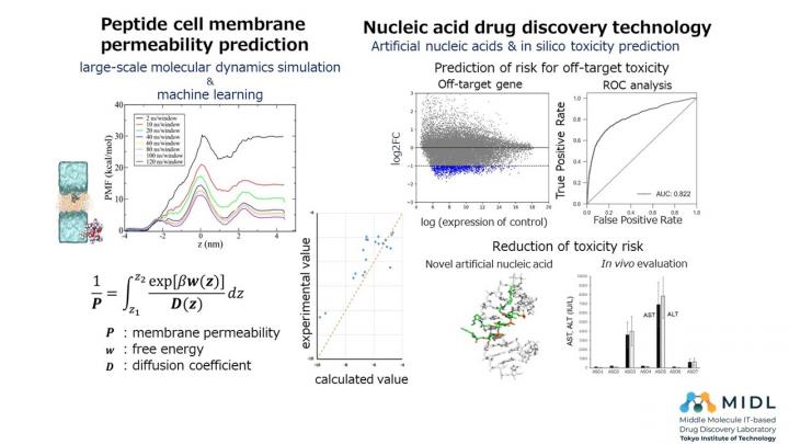 Tokyo Tech Middle Molecule Drug Discovery Technologies