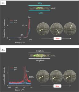 Robust valley coherence of excitons in MoS₂