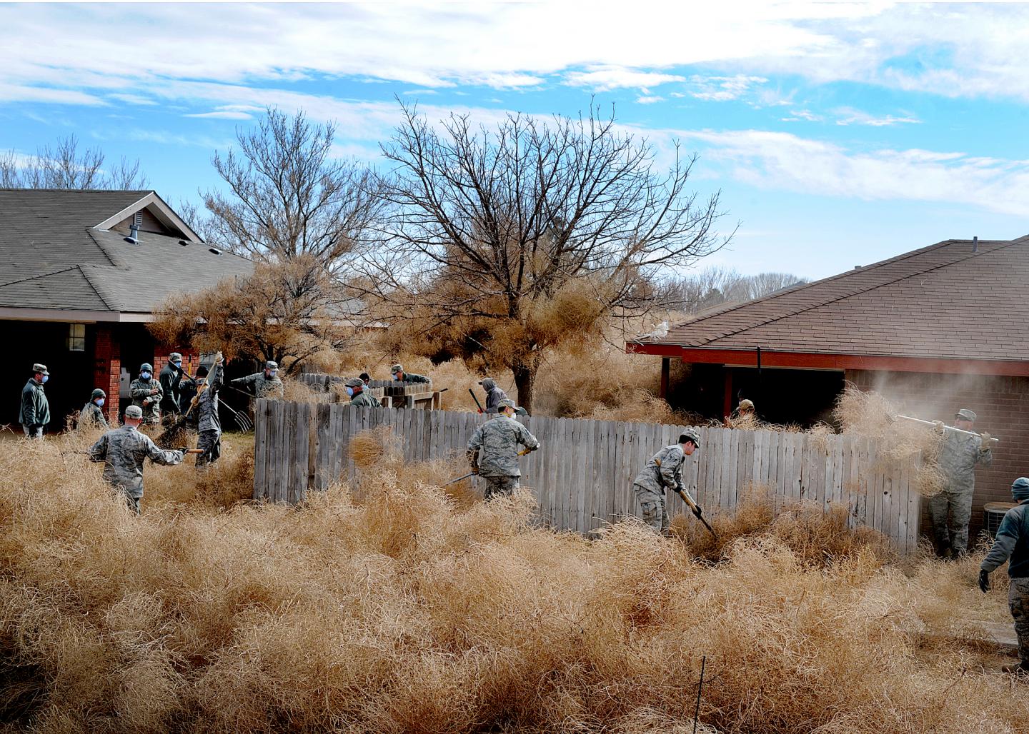 Tumbleweed Invasion