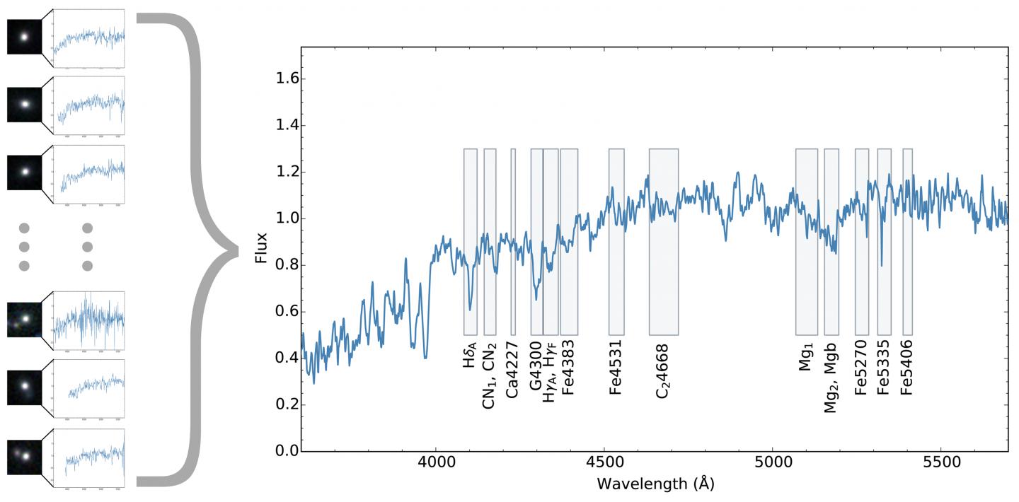 Composite Spectrum of 24 Massive Dead Galaxies