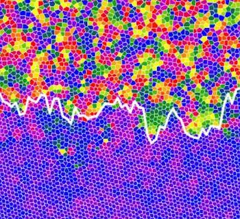 FIG 2 The Interface Between the Liquid (Top) and Hexatic (Bottom) States