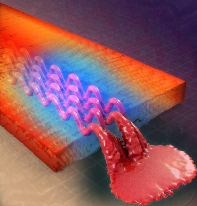Microvascular Composite