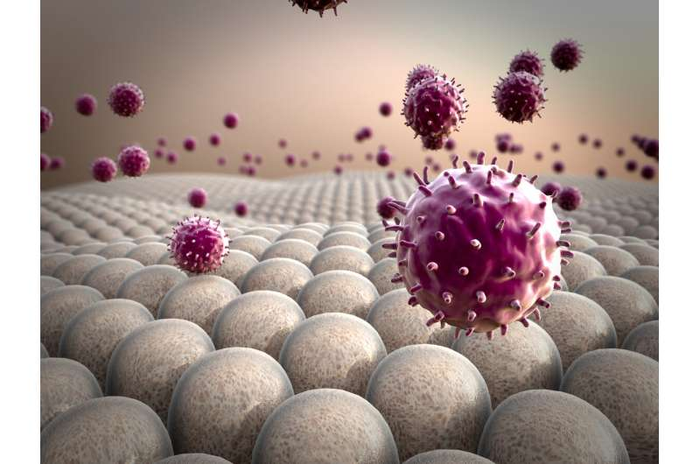 The rendering of a CAR-Macrophage