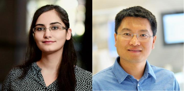 The First and the Corresponding Author on This Work