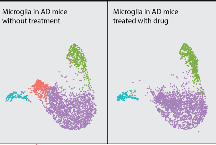 Single cell RNA-seq analysis of microglial response in a mouse model of Alzheimers disease.