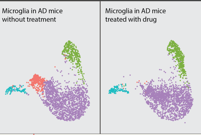 Single cell RNA-seq analysis of microglial response in a mouse model of Alzheimer’s disease.