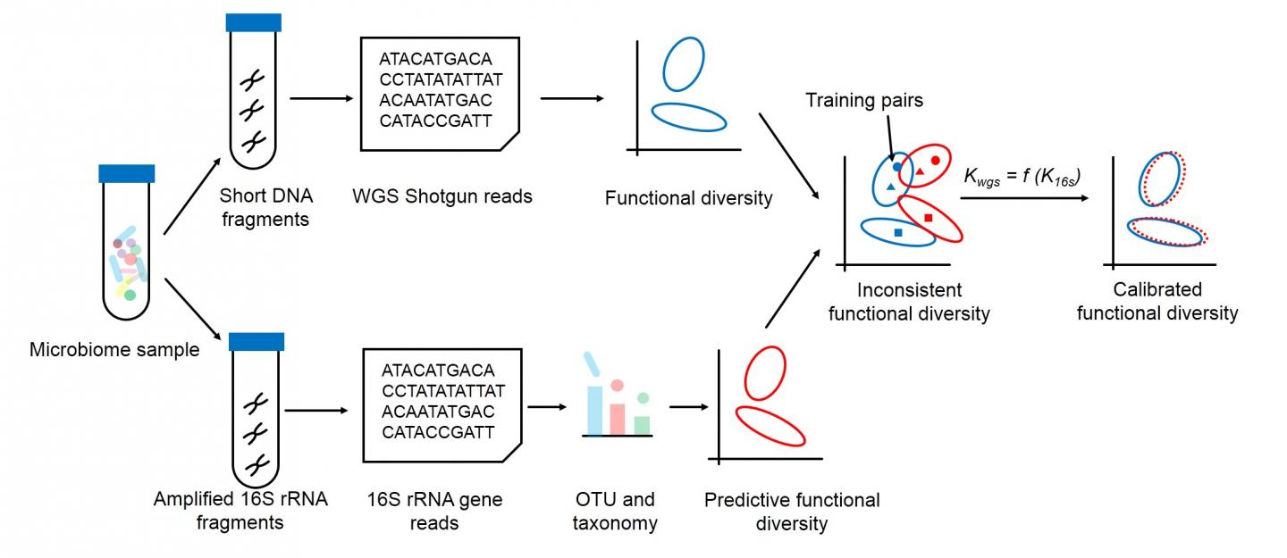 Meta-Apo algorithm improves 16S-based microbiome diagnoses