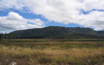 Mt. Tarawera Volcano