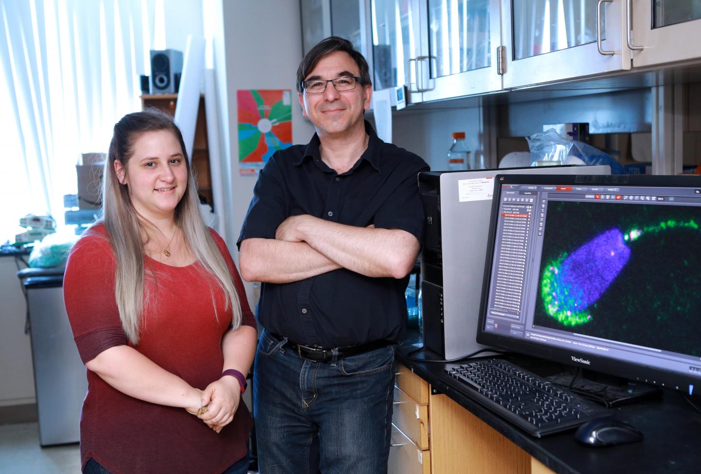 University of Toledo Researchers on Sperm Study