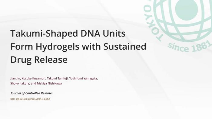 Takumi-Shaped DNA Units Form Hydrogels with Sustained Drug Release