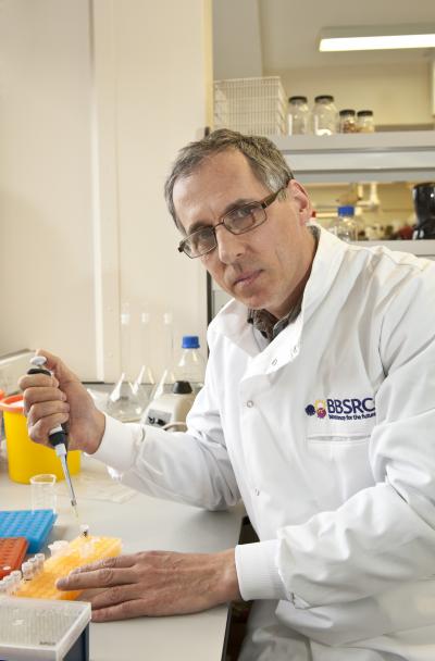 Richard Mithen, Institute of Food Research