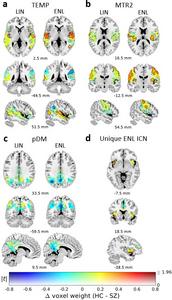 Georgia State Researchers Uncover New Ways to Identify Signatures of Mental Disorders Using fMRI Scans Georgia State Researchers Uncover New Ways to Identify Signatures of Mental Disorders Using fMRI Scans