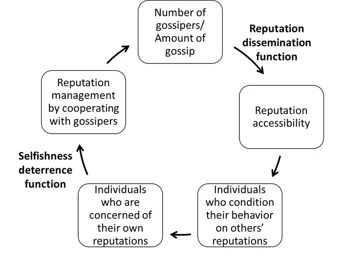 Gossip evolution cycle