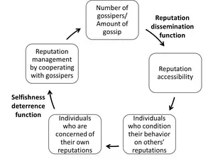 The evolutionary cycle of gossip