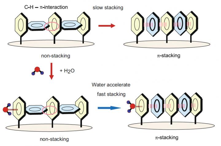 A Benzen Cluster Reorganizes Changing Its Electrical Conductivity