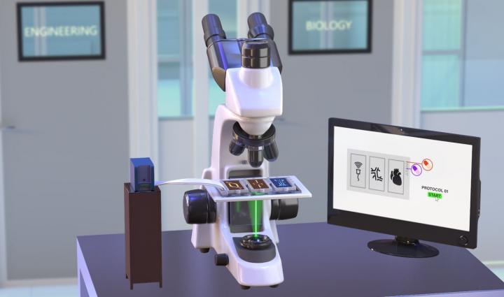 Universal standard of Organ-on-chip