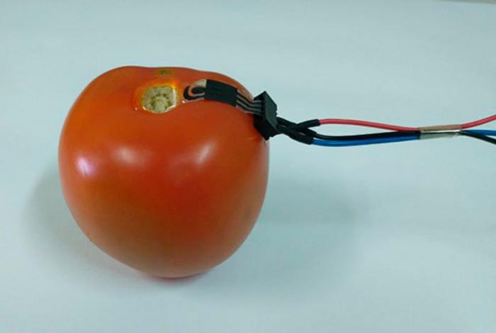Biodegradable sensor monitors levels of pesticides via direct contact with surface of fruit and vegetables