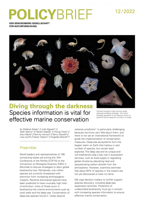 Policy brief by marine scientists