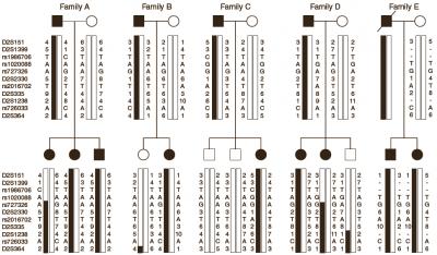 Linkage Mapping for FOP