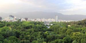 Green urban corridors