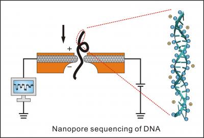 Nanopore Sequencing