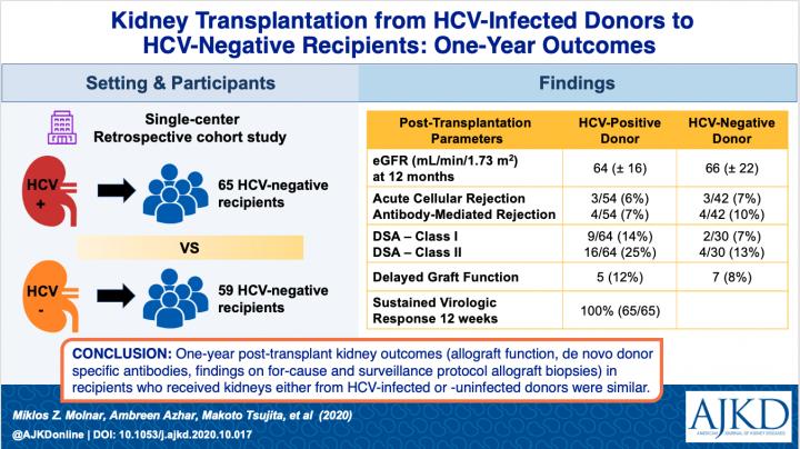 Transplantation from Hepatitis C Positive Donors to Negative Recipients: One-Year Kidney Allograft Outcomes