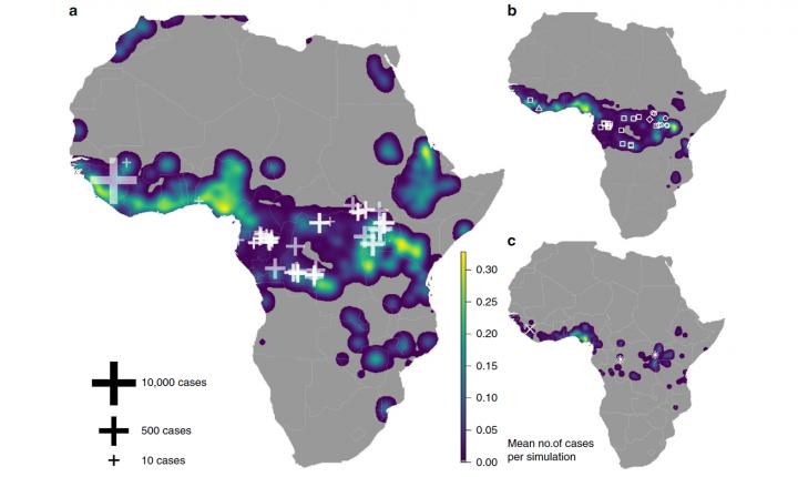 Present Day Risk of Ebola Cases Caused by Zaire Ebola Virus from Simulations