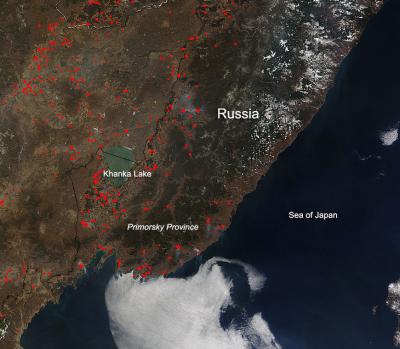 Fires in the Primorsky Province of Russia