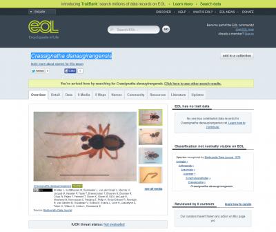 The New Species on EOL