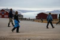 Svalbard Barnacle Geese Make Their Annual Move into Ny-Ålesund