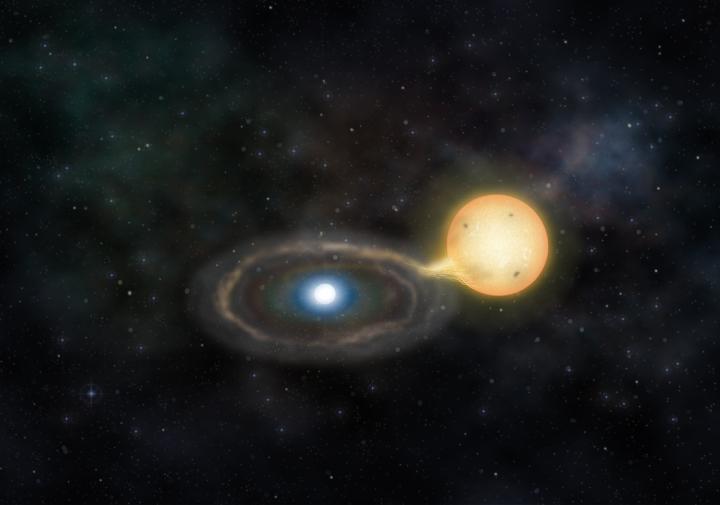 Artist's Impression of Gaia14aae