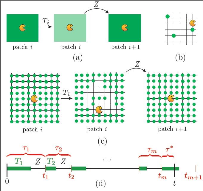 Foraging in Patchy Media